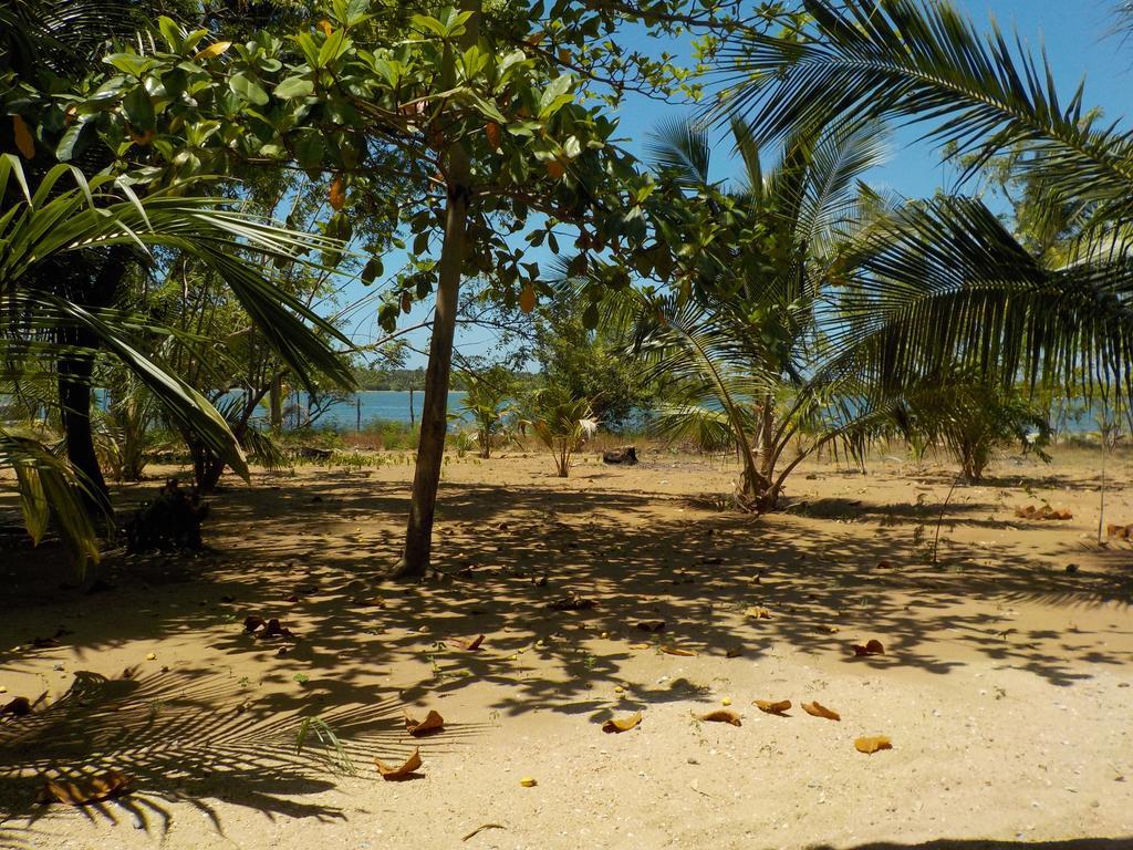 Reef Pasikudah Hotel Nachivantivu Екстериор снимка